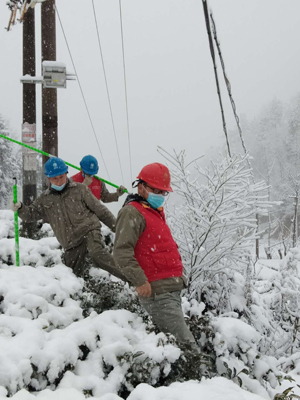 国家电网举全公司之力战疫情抗风雪保供电