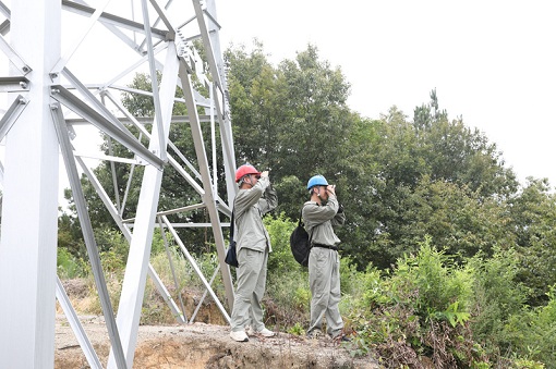 迎峰度夏保供电丨精益运维设备 助力川渝保供